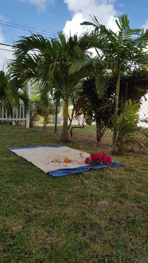 Cynson Villa Holiday Accommodations Christ Church Kültér fotó